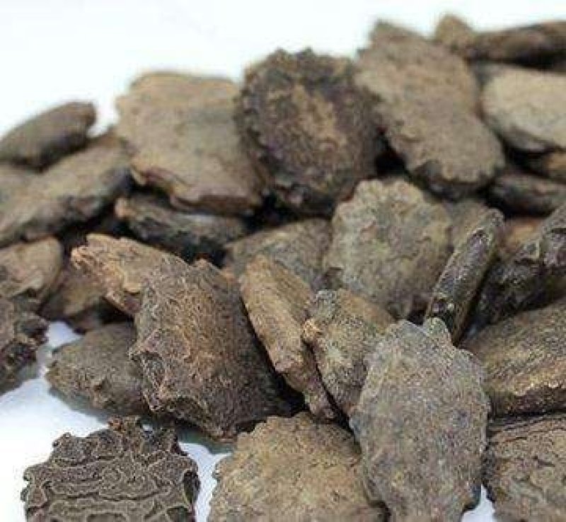 木鳖子广西干货量大从优2斤起包邮