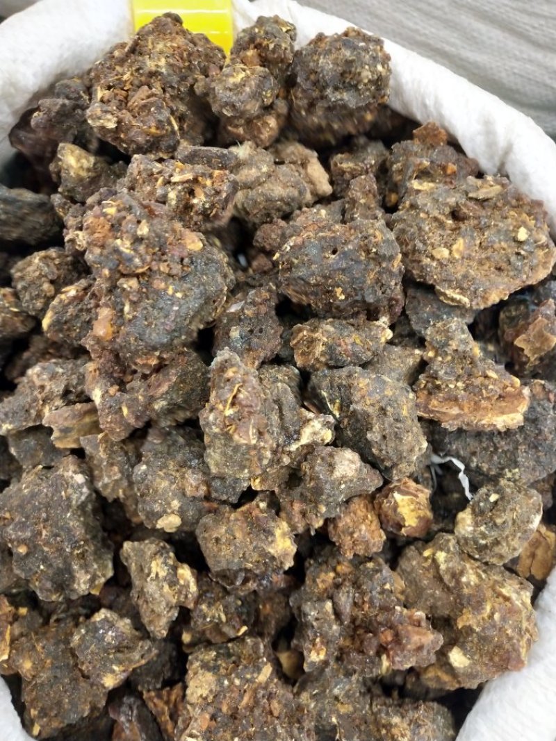 没药珠精品没药珠大颗粒无硫净货无杂质
