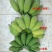 广西西贡粉蕉