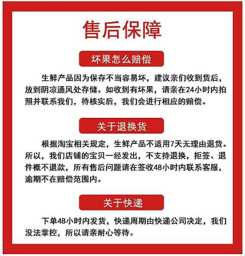 广西西贡粉蕉
