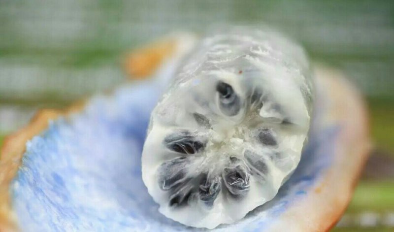 八月瓜籽