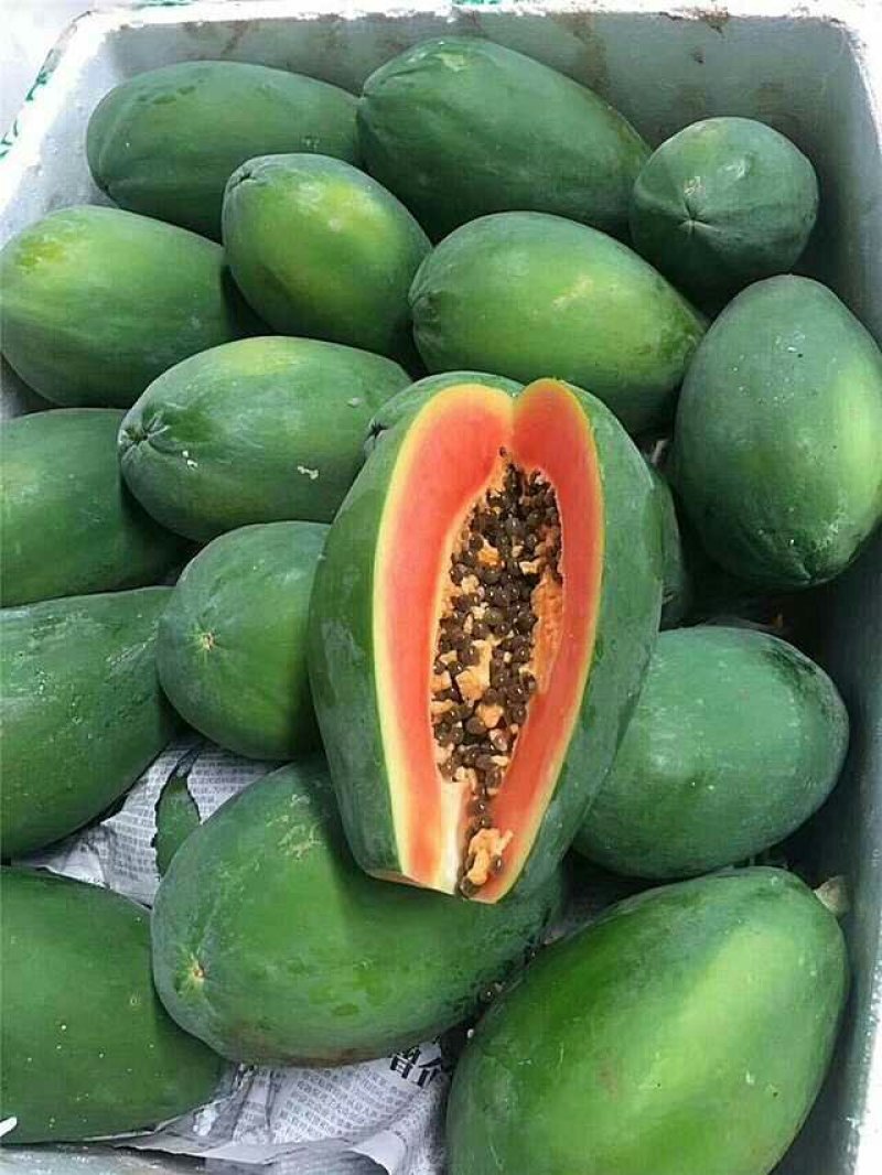 正宗红肉水果木瓜新鲜孕妇水果8斤包邮