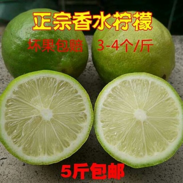 正宗香水柠檬四季新鲜水果奶茶店5斤包邮