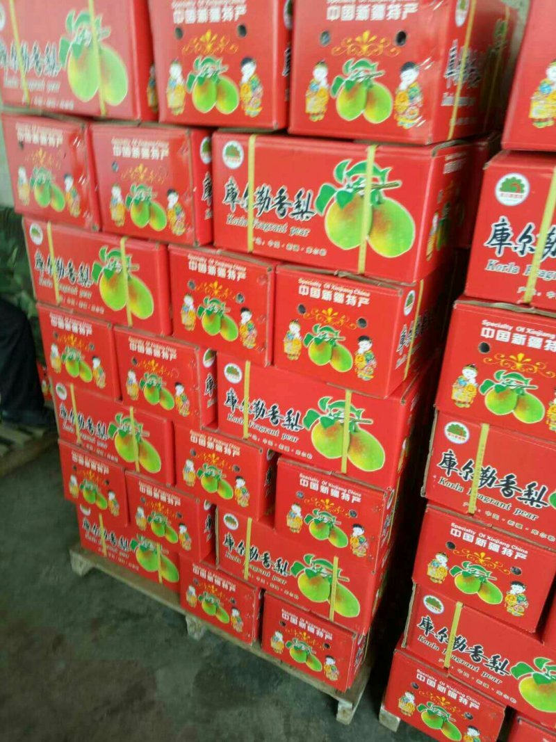 红香酥梨批发基地，陕西精品红香酥梨产地批发，红香酥梨价格