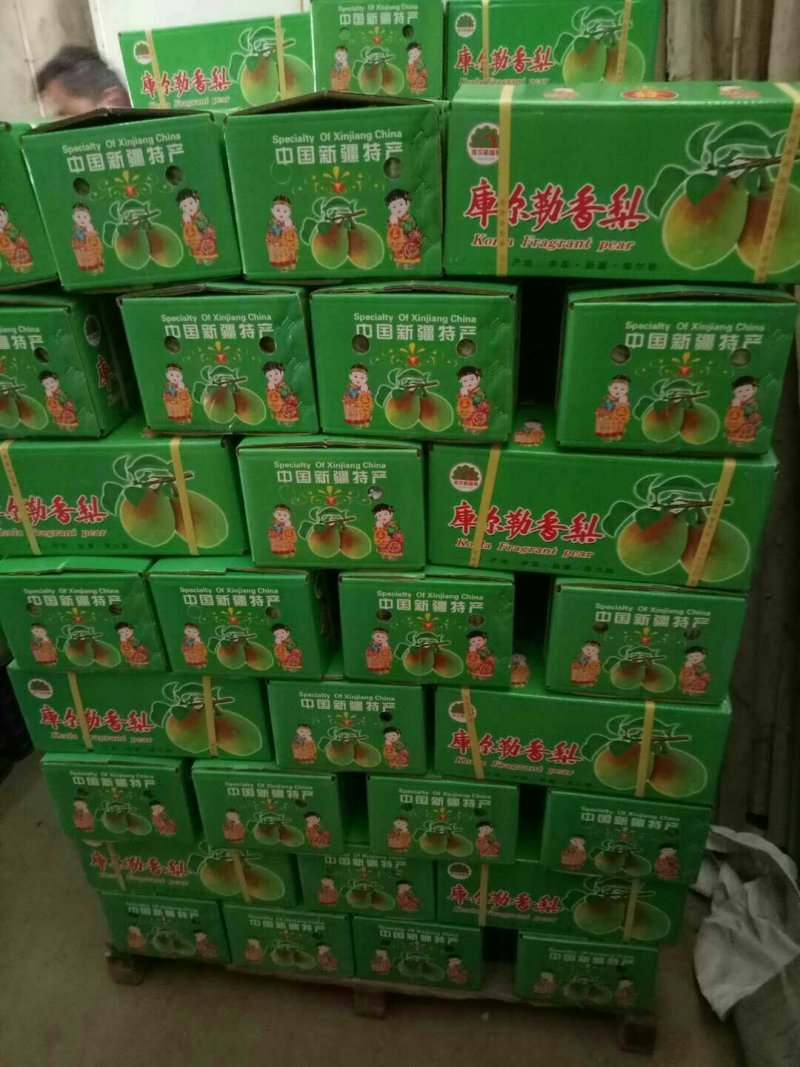 红香酥梨批发基地，陕西精品红香酥梨产地批发，红香酥梨价格