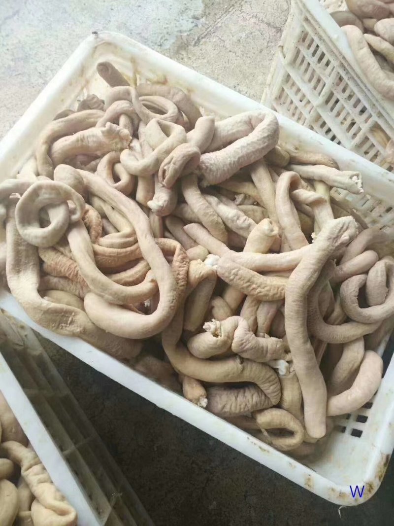 牛肠大肠小肠都有货，量大从优，各地发货欢迎采购