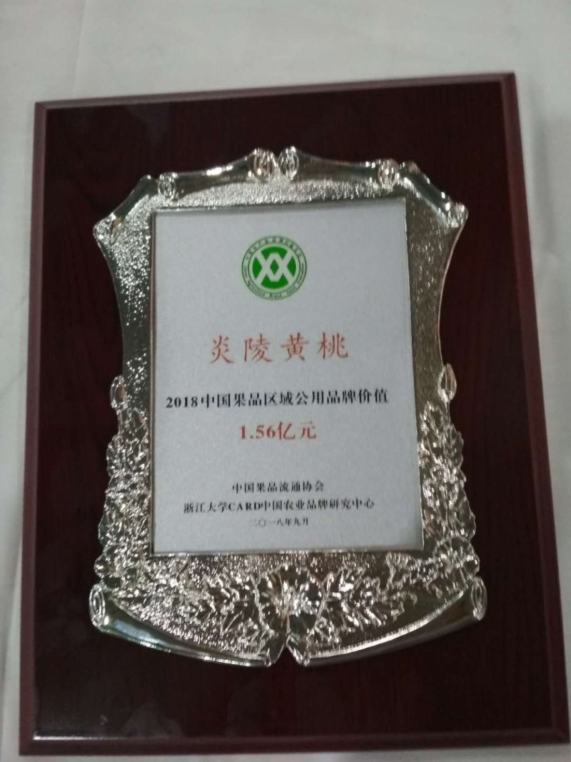 黄桃树苗炎陵黄桃苗供应早中晚熟品种齐全