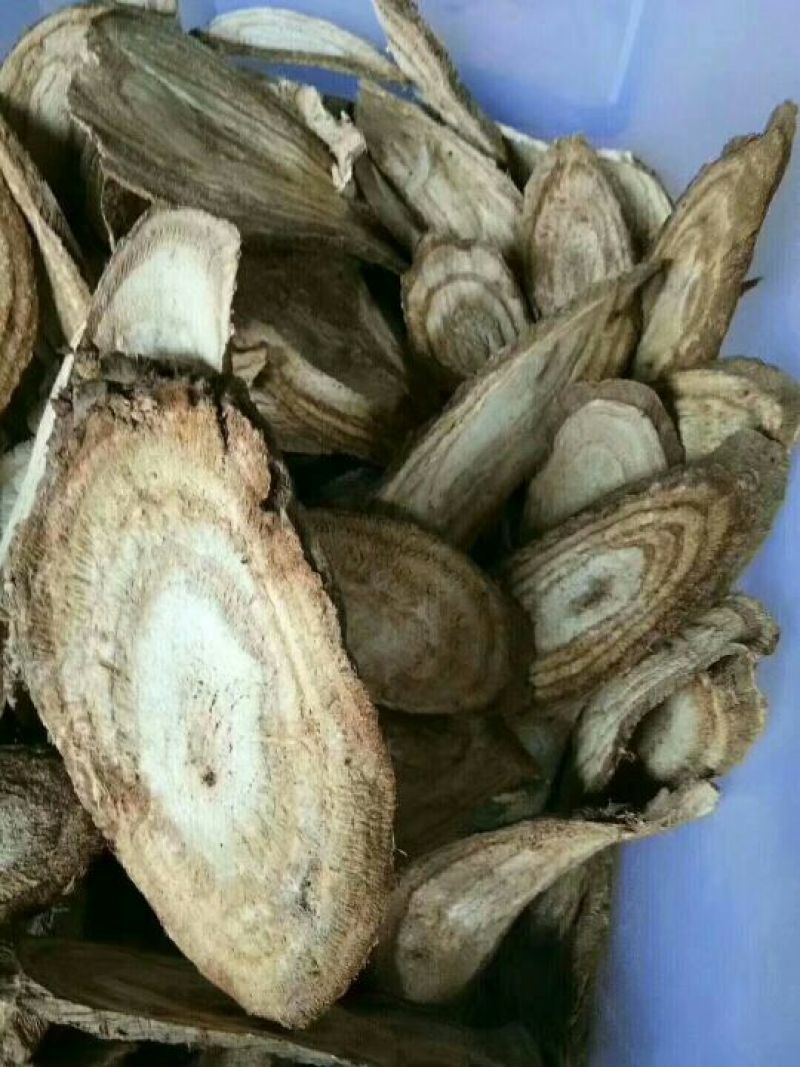 野生葛根片