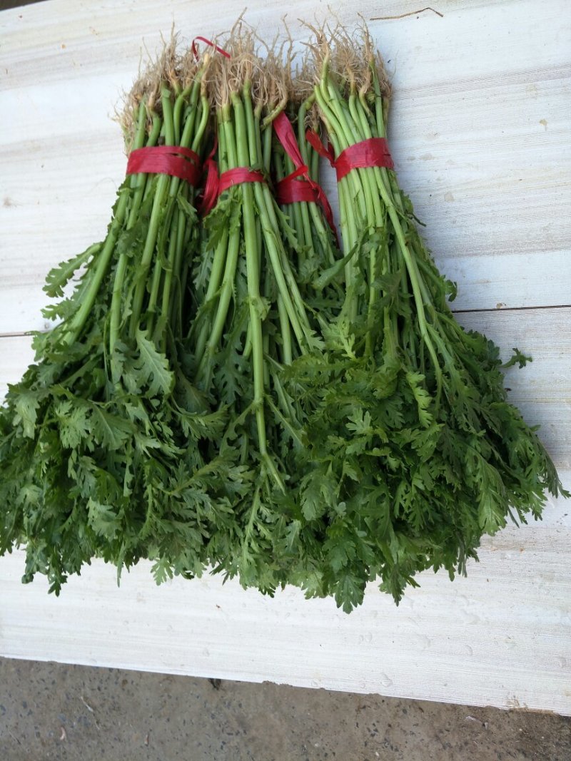 小叶茼蒿