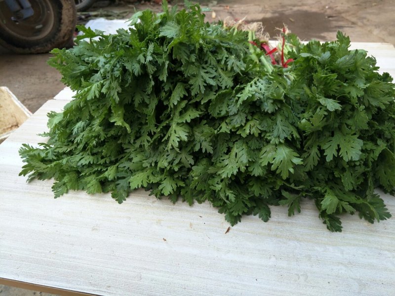 小叶茼蒿