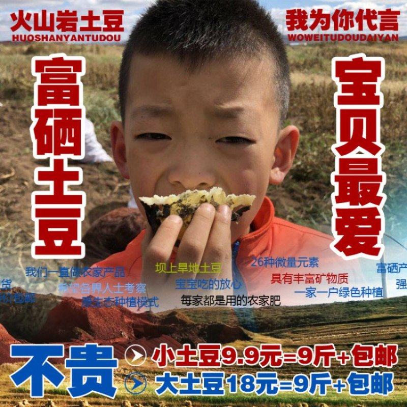 富硒火山岩土豆限量！