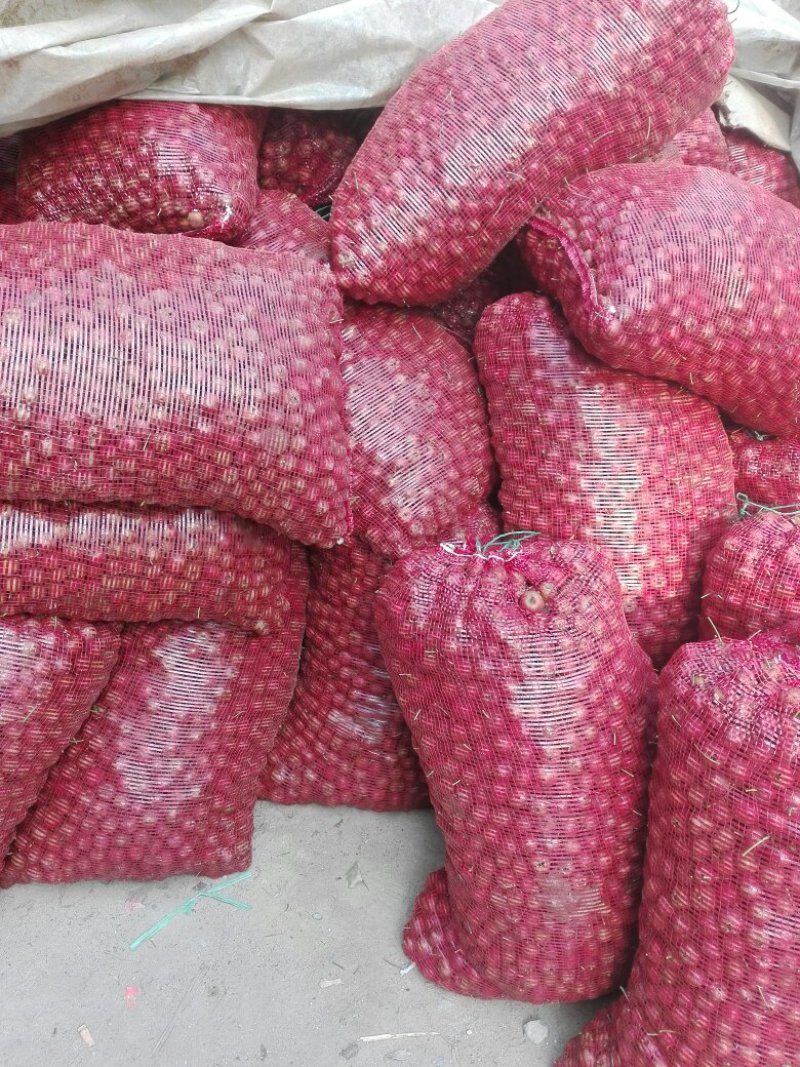 山楂