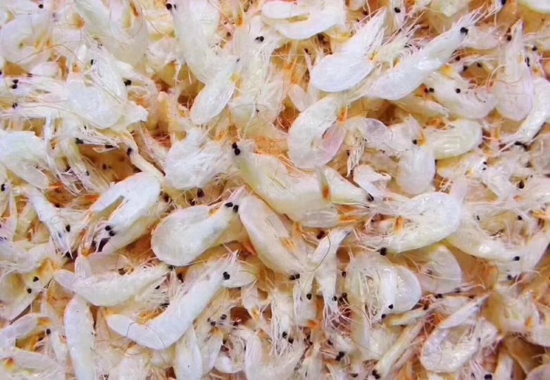 虾皮30一斤