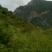 凉山原生态蜂蜜