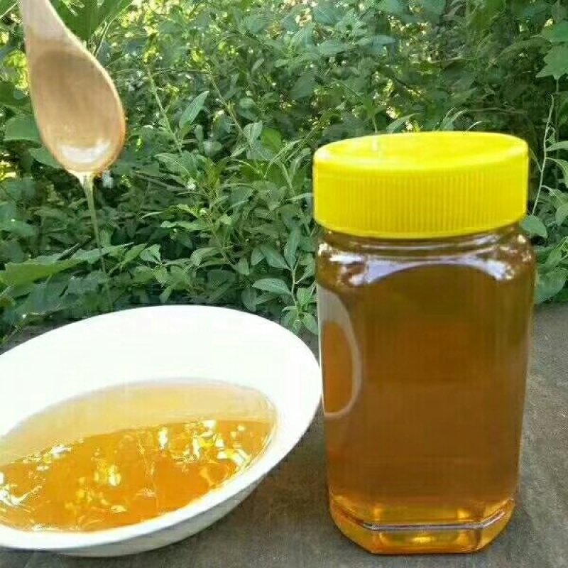 沾化冬枣，枣花蜂蜜