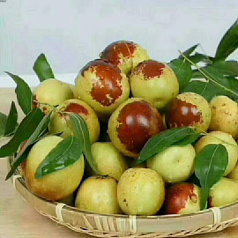 沾化冬枣，枣花蜂蜜