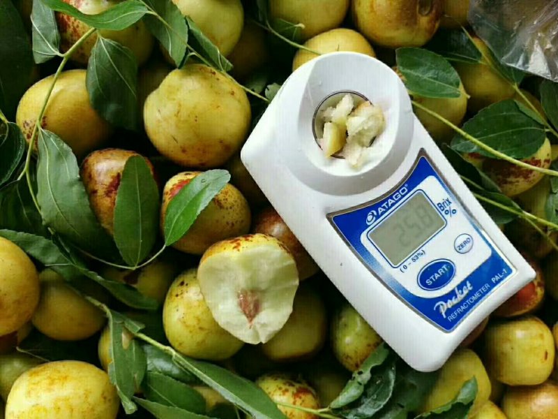 沾化冬枣，枣花蜂蜜