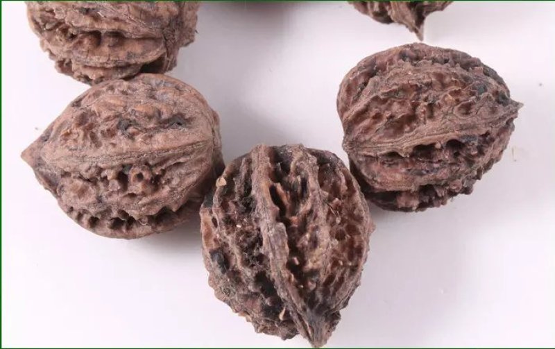 核桃种子