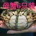 河蟹大闸蟹食用2~2.2两母蟹鲜活