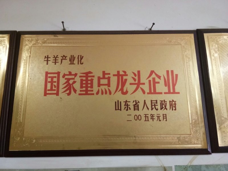 西门塔尔牛