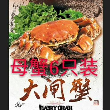 河蟹大闸蟹食用（2.5-3）两/只鲜活