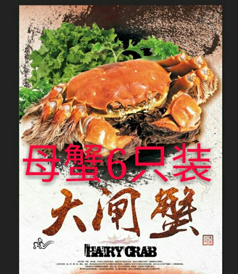 河蟹大闸蟹食用（2.5-3）两/只鲜活