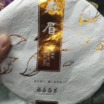 福鼎白茶150克1个老寿眉