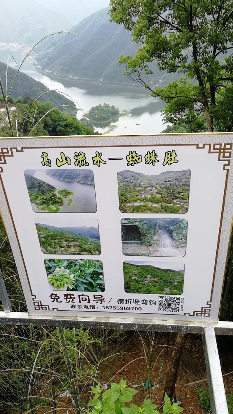 臭鳜鱼