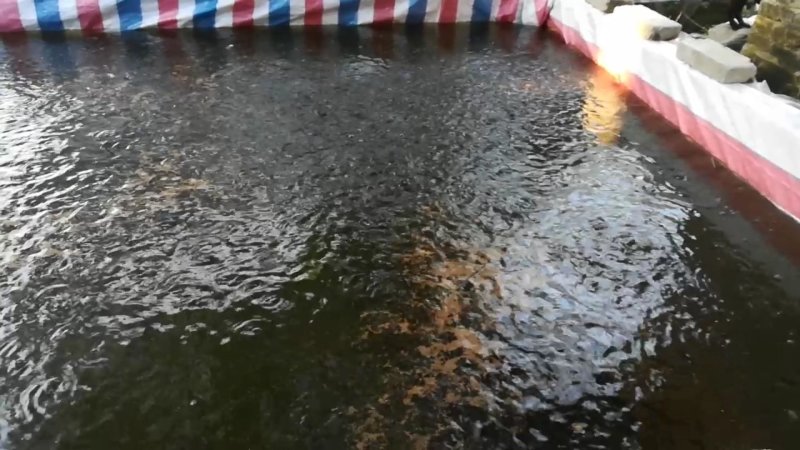 投料中……
