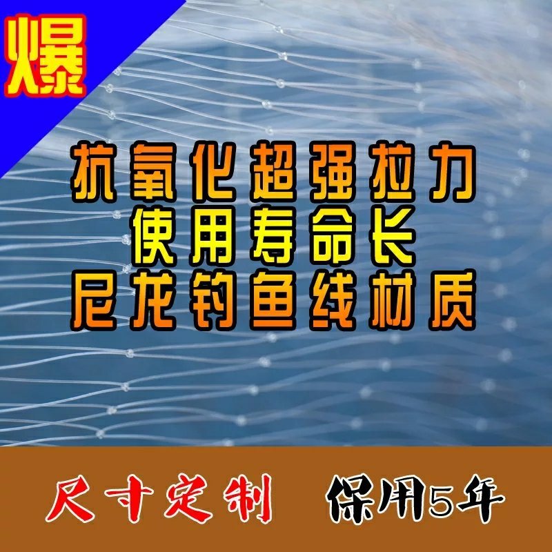 葡萄尼龙防鸟网批发梨苹果园鱼塘养殖青蛙天网鱼塘养殖防鸟网