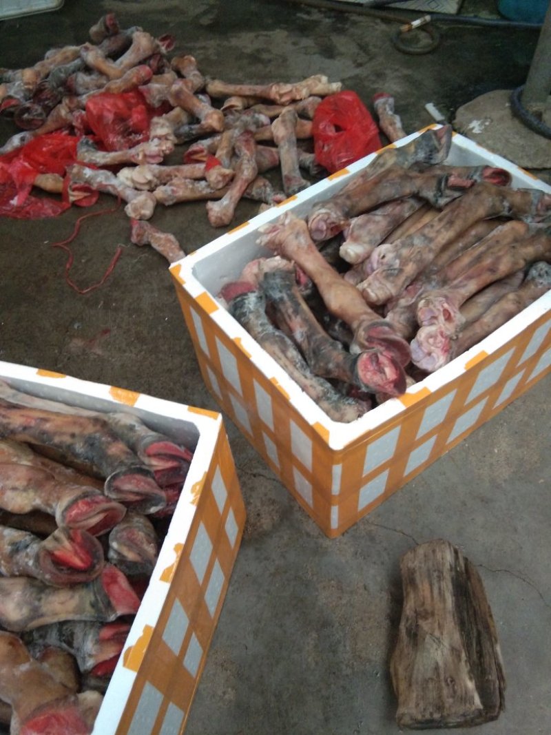驴肉