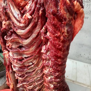 驴肉