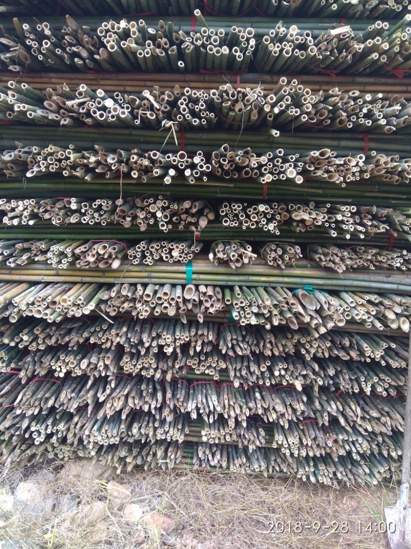 各种规格的伏质菜架竹竿