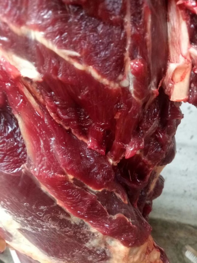 驴肉