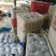 莘县圆茄暖棚精品供商超常年代收量大价格便宜