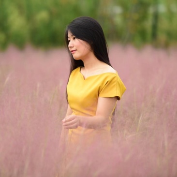 粉黛乱子草种苗，粉黛乱子草花海小苗，山东粉黛乱子草