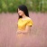 粉黛乱子草种苗，粉黛乱子草花海小苗，山东粉黛乱子草