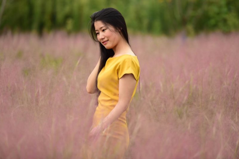 粉黛乱子草种苗，粉黛乱子草花海小苗，山东粉黛乱子草