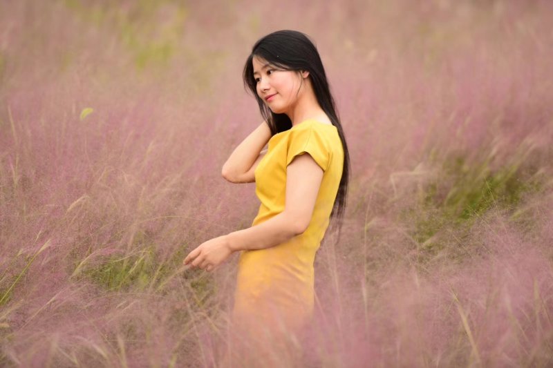 粉黛乱子草种苗，粉黛乱子草花海小苗，山东粉黛乱子草