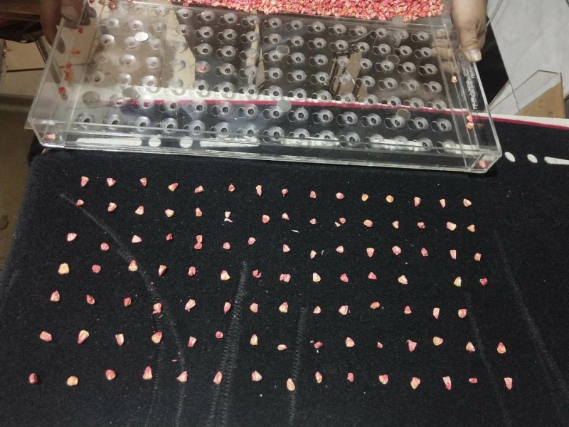 穴盘播种器
