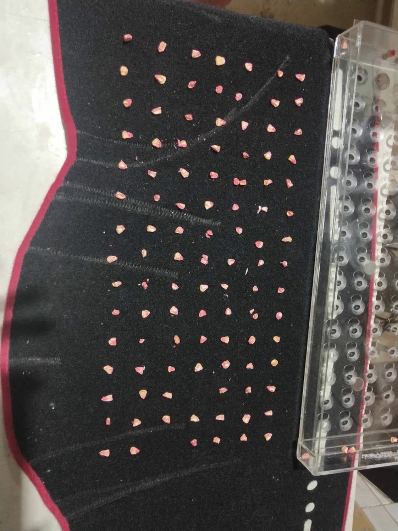 穴盘播种器