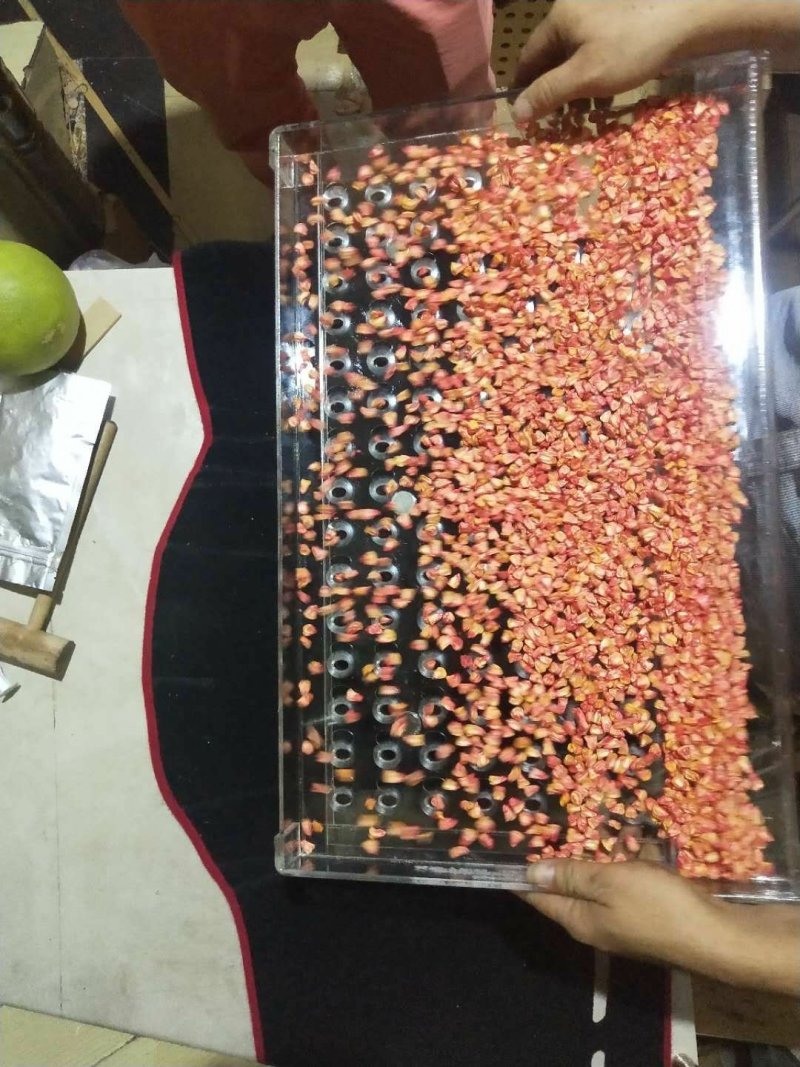 穴盘播种器