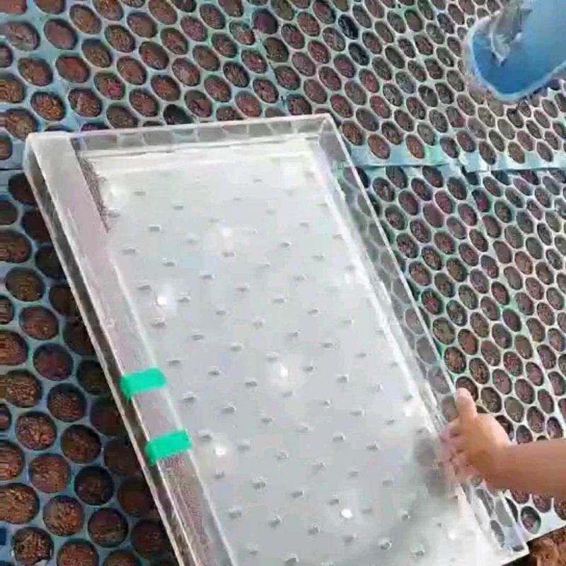 穴盘播种器