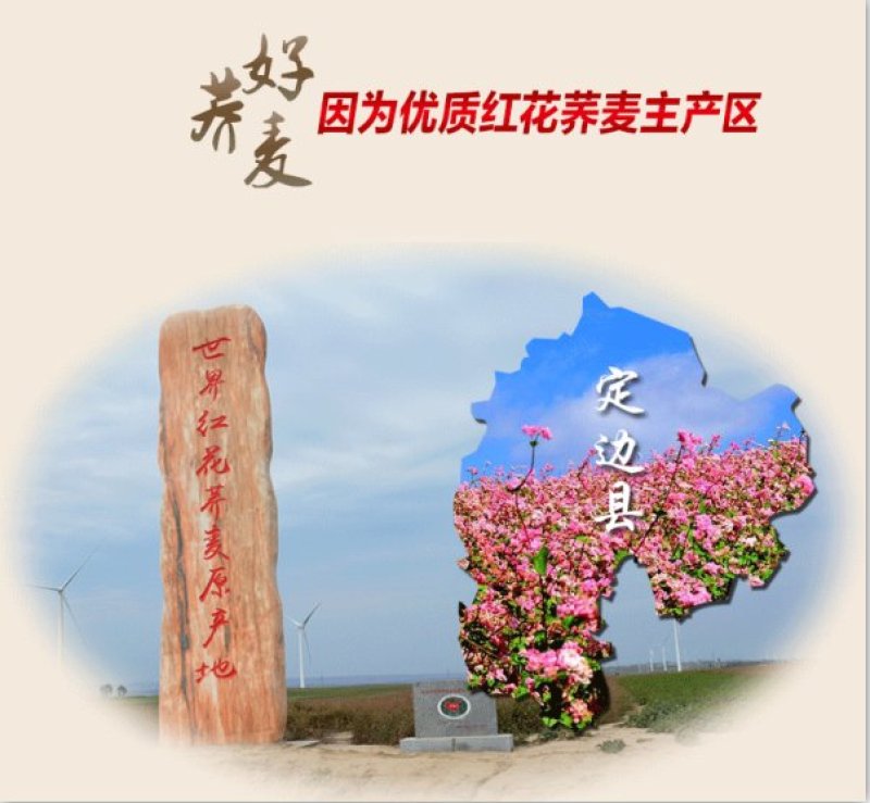 荞麦旱地大量有货如有需要请联系。