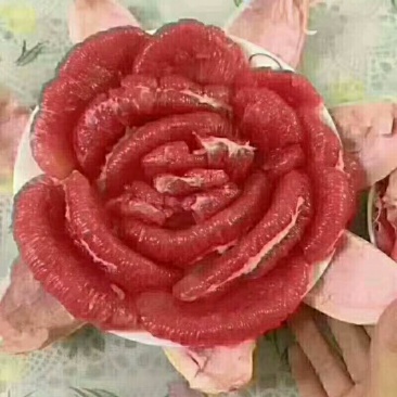 福建平和琯溪蜜柚正在大量订购出售