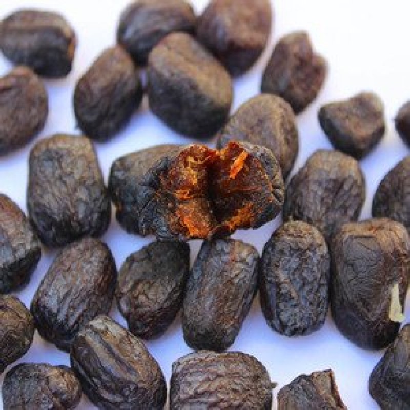 黑枣天然野生大黑枣