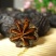 黑枣天然野生大黑枣
