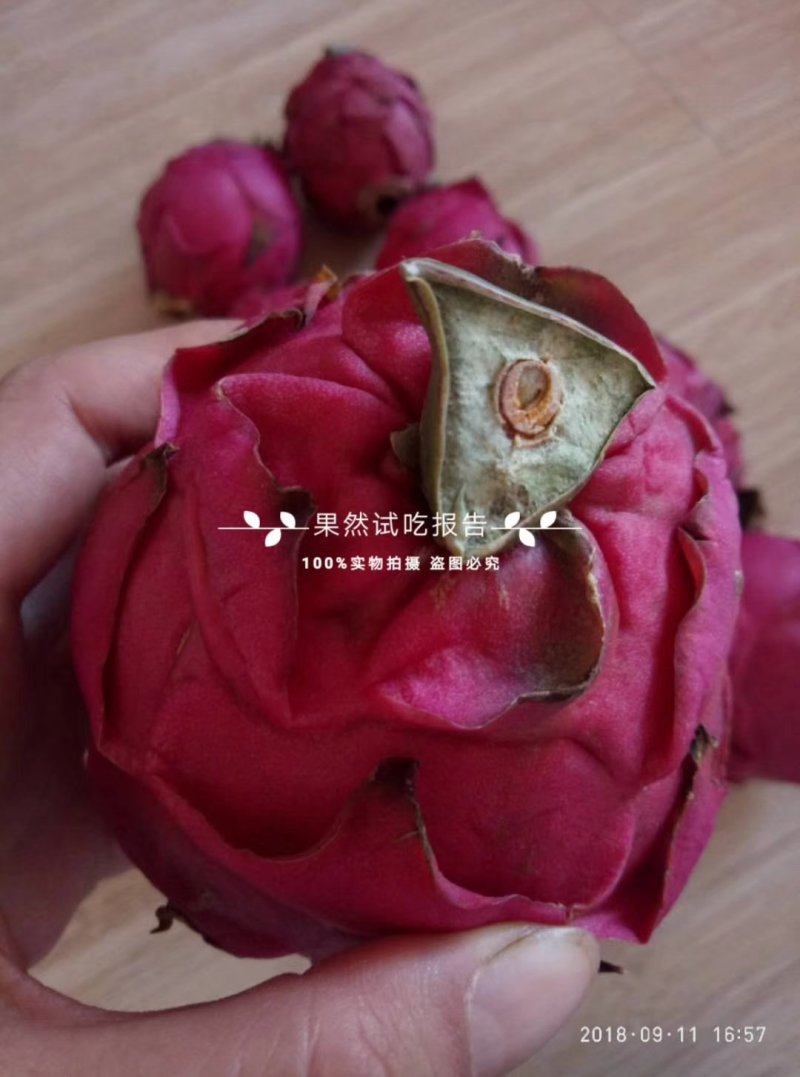 金都一号，嘎嘎甜