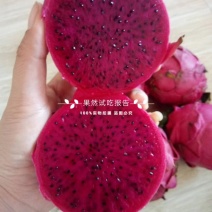 金都一号，嘎嘎甜