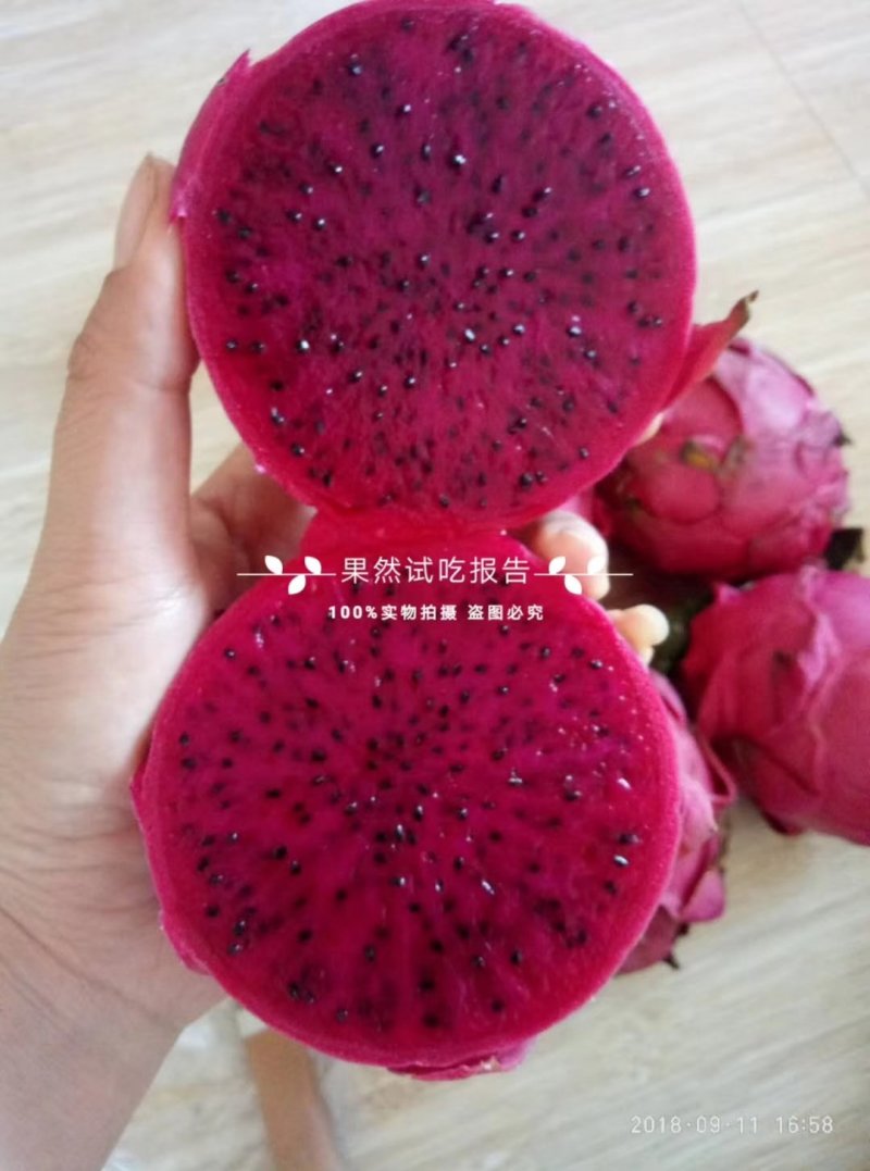 金都一号，嘎嘎甜